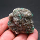 Emerald Beryl Crystals On Matrix From Colombia - 1.8"- 63.97 Grams