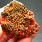 Rare Orange Crocoite Cluster From Australia - 1.6"- 34.21 Grams