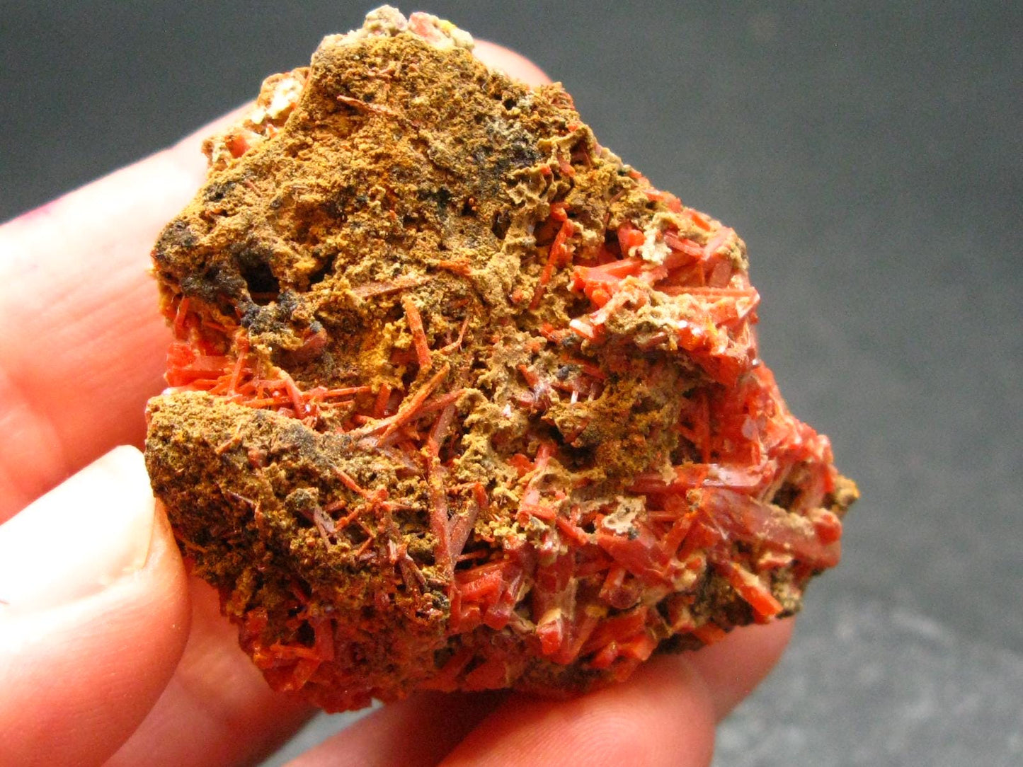 Rare Orange Crocoite Cluster From Australia - 1.6"- 34.21 Grams