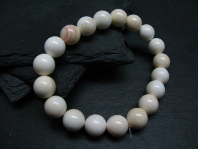 Conch Shell Genuine Bracelet ~ 7 Inches ~ 10mm Round Beads