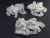 Chandrakanta Moonstone!! Set of Three Natural Glow from Inside Moonstone Free Form Bead Necklace - 18" Each