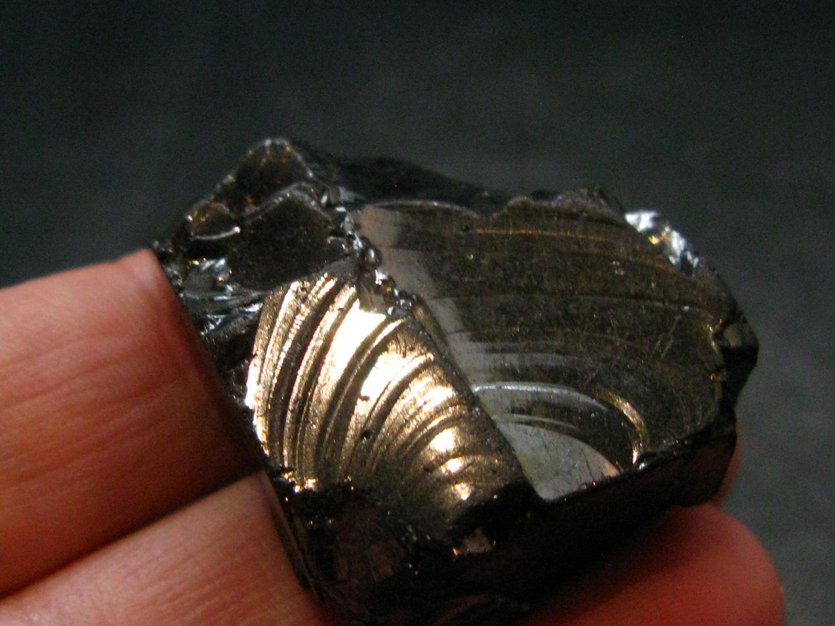 Elite Shungite Raw Piece from Russia - 1.4" - 11.81 Grams
