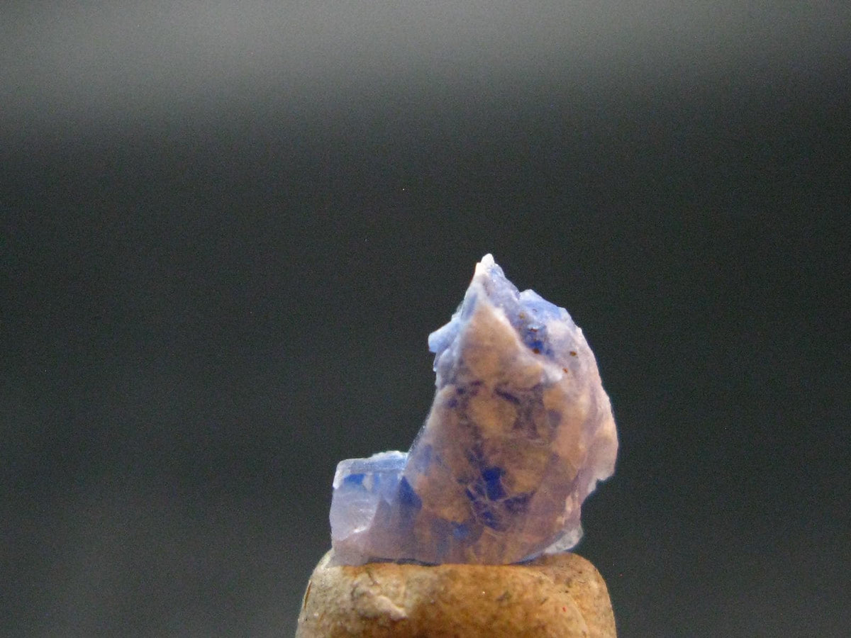 Fine Rare Carletonite Crystal From Mt. St. Hilaire Canada - 0.4" - 0.44 Grams