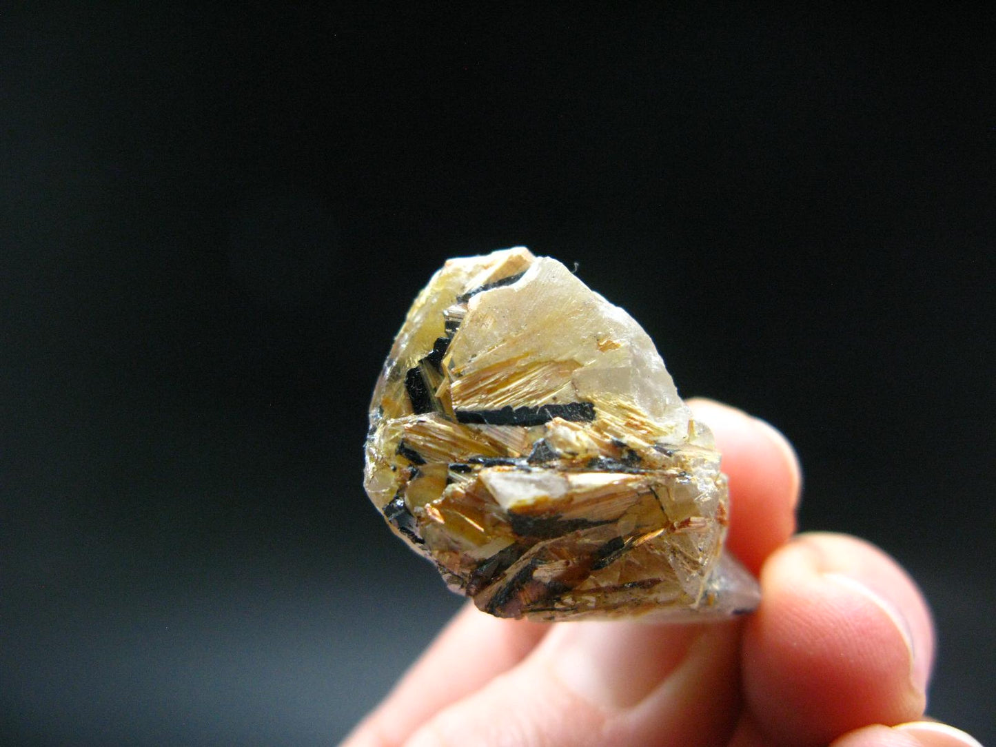 Large Rutilated Smoky Quartz Crystal from Brazil - 1.1" - 13.33 Grams