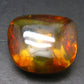 Insects in Amber Piece From Baltic Sea - 4.37 Grams - 1.1"