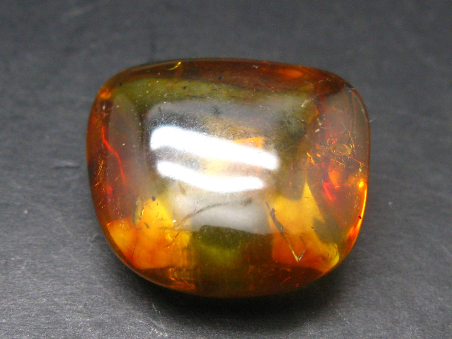 Insects in Amber Piece From Baltic Sea - 4.37 Grams - 1.1"