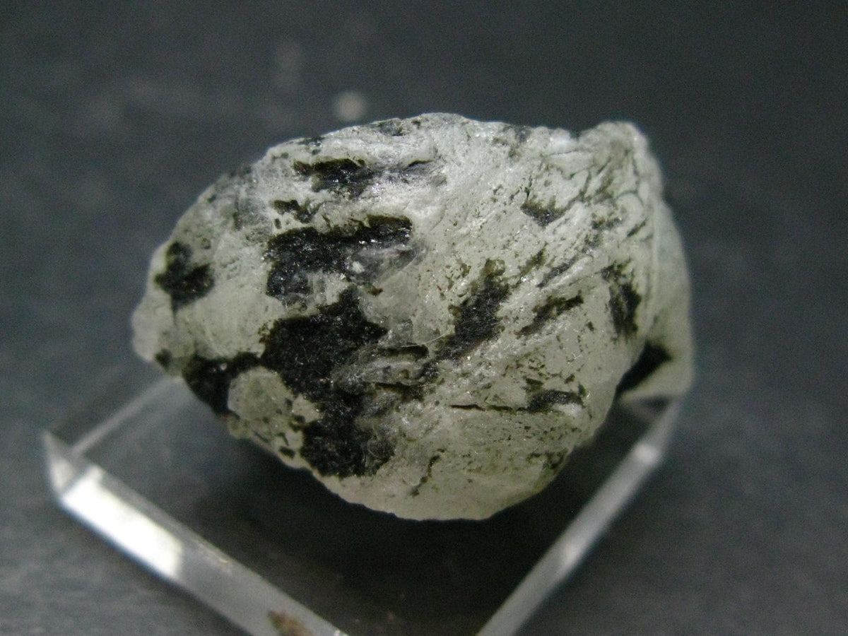 Gem Phenakite Phenacite Crystal From Russia - 14.13 Grams - 1.4"