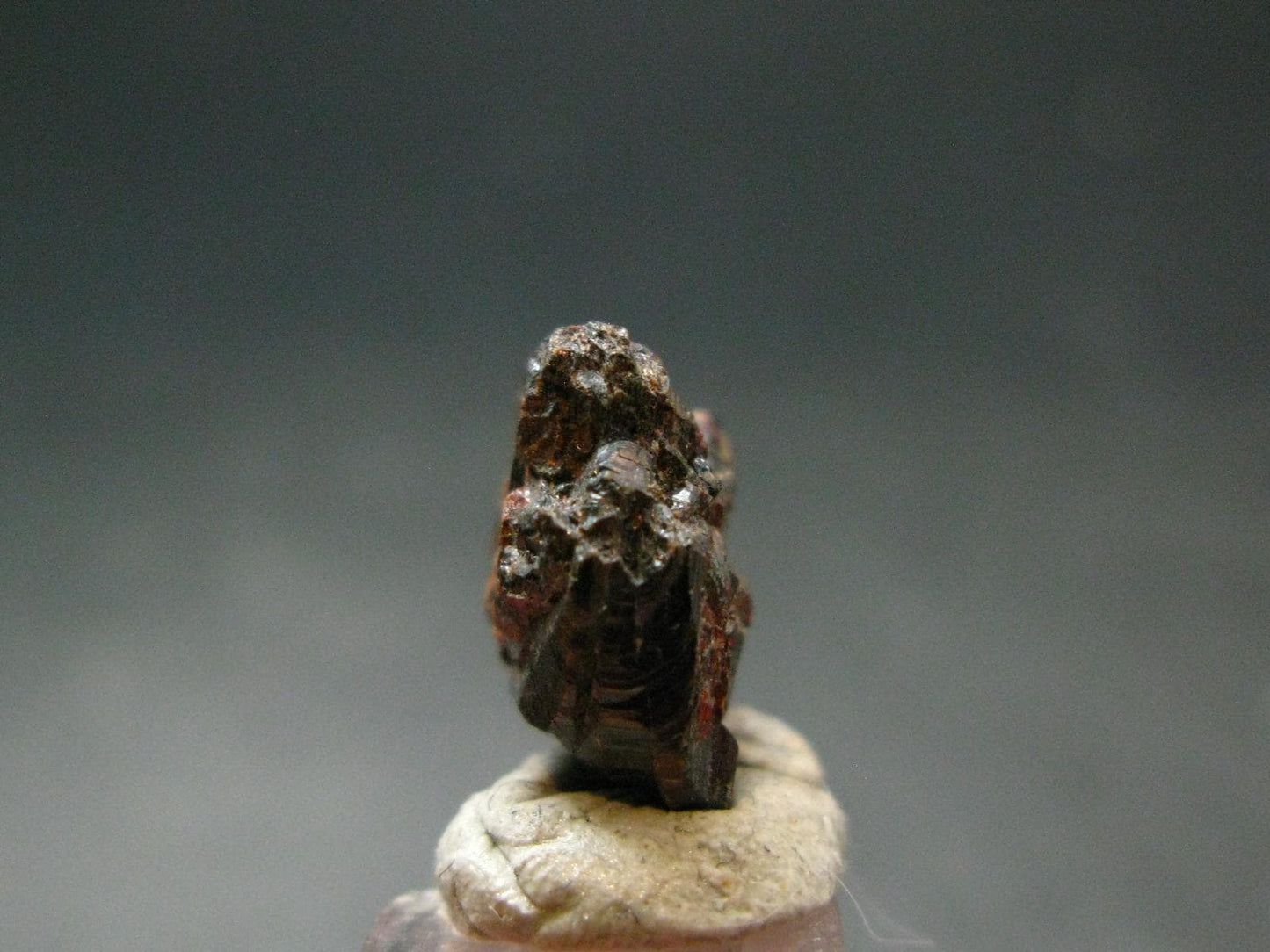 Mangano Tantalite Crystal From Brazil - 0.5" - 17.0 Carats
