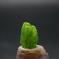 Very Nice Rare Pyromorphite Crystal from China - 0.3" - 1.37 Grams