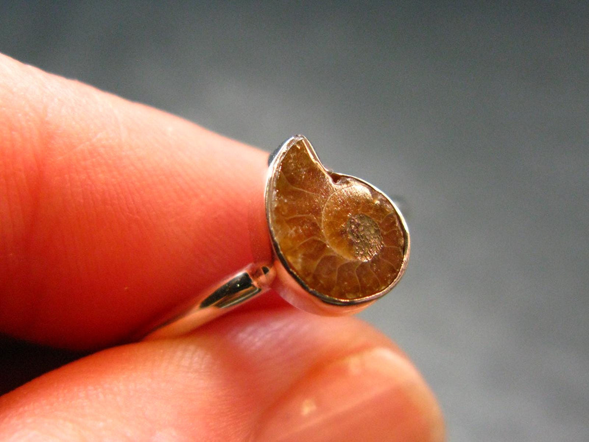 Natural Whole Polished Agatized Ammonite Cleoniceras Sterling Silver Ring from Madagascar - 1.81 Grams - Size 6