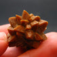 Glendonite (Ikaite after Calcite) Crystal From Russia - 1.0" - 9.0 Grams