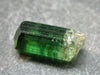 Green Tourmaline Crystal From Brazil - 0.7" - 11.55 Carats