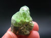 Rare 71.20 Carat Gem Peridot Olivine Cluster from Pakistan - 1.1"