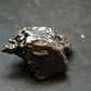 Campo Del Cielo Meteorite from Argentina - 33.20 Grams - 1.5"
