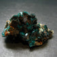 Very Nice Dioptase Cluster from Congo - 2.0" - 28.66 Grams