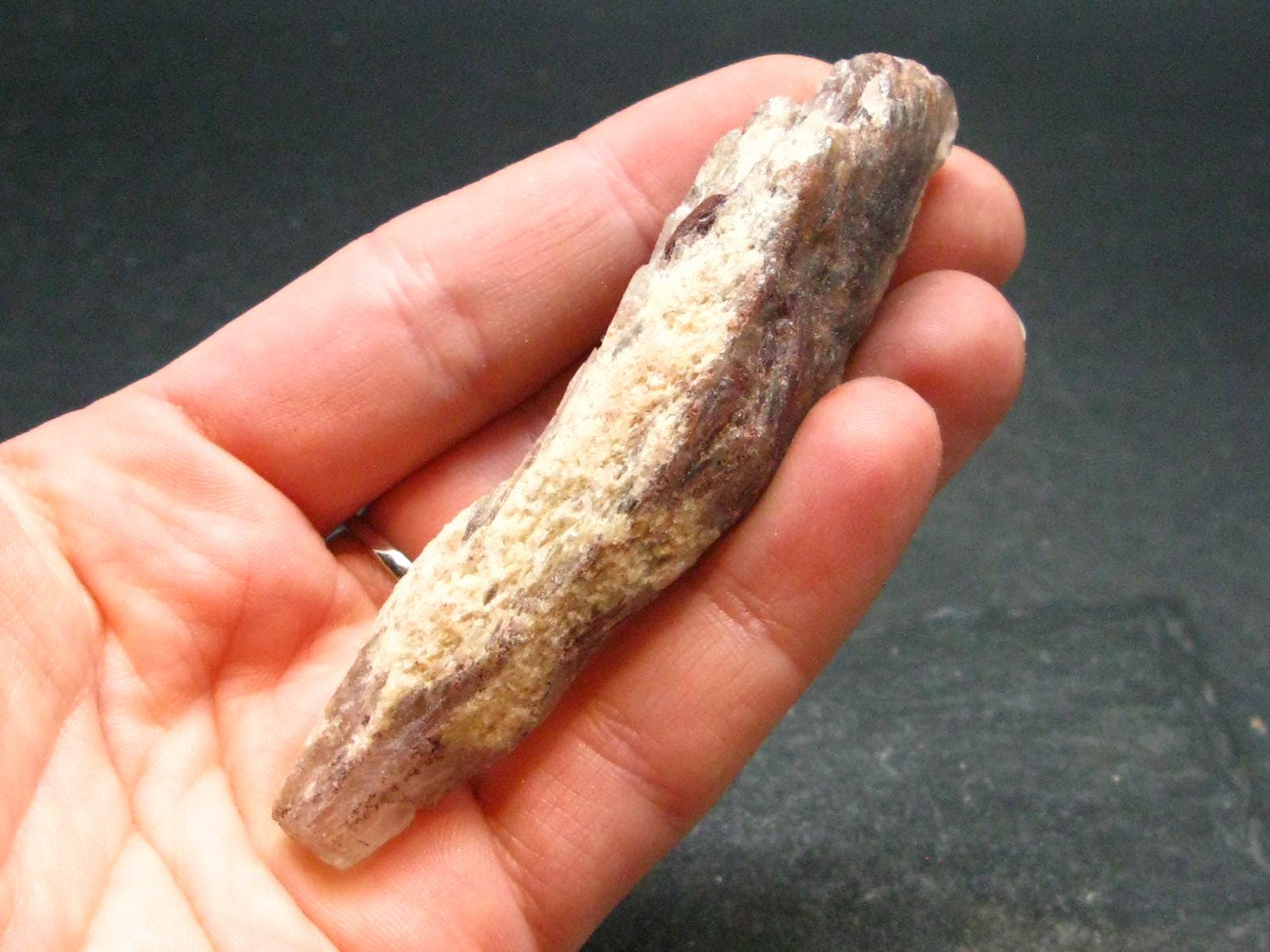 Cacoxenite Amethyst Crystal From Brazil - 3.2"