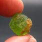 Rare 13.5 Carat Gem Peridot Olivine Crystal from Arizona, USA - 0.5"
