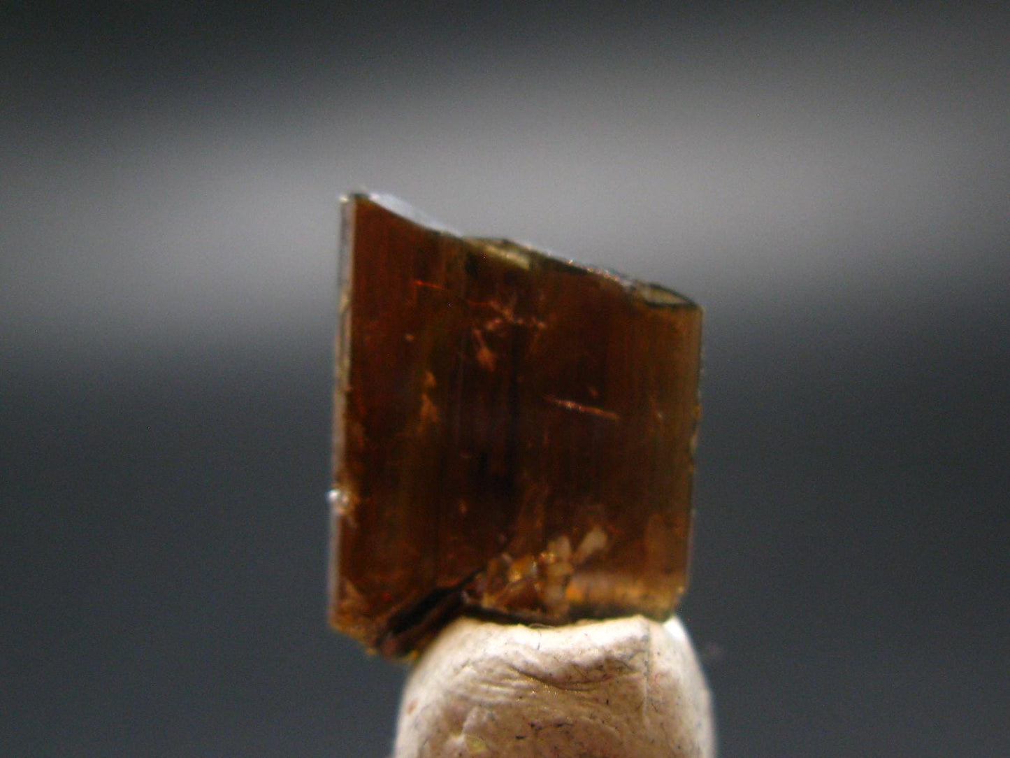 Large Brookite Crystal From Pakistan - 0.53 Grams - 15 mm