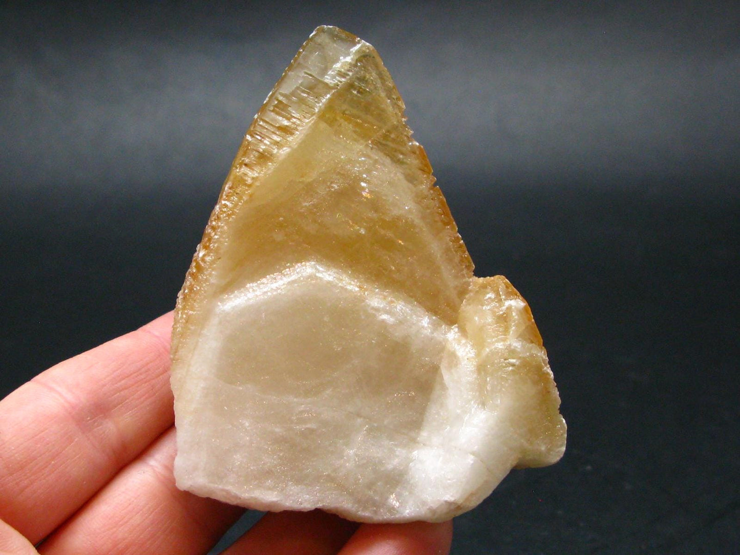 Huge Dogtooth Stellar Beam Calcite Crystal From Tennessee USA - 2.7" - 106.21 Grams