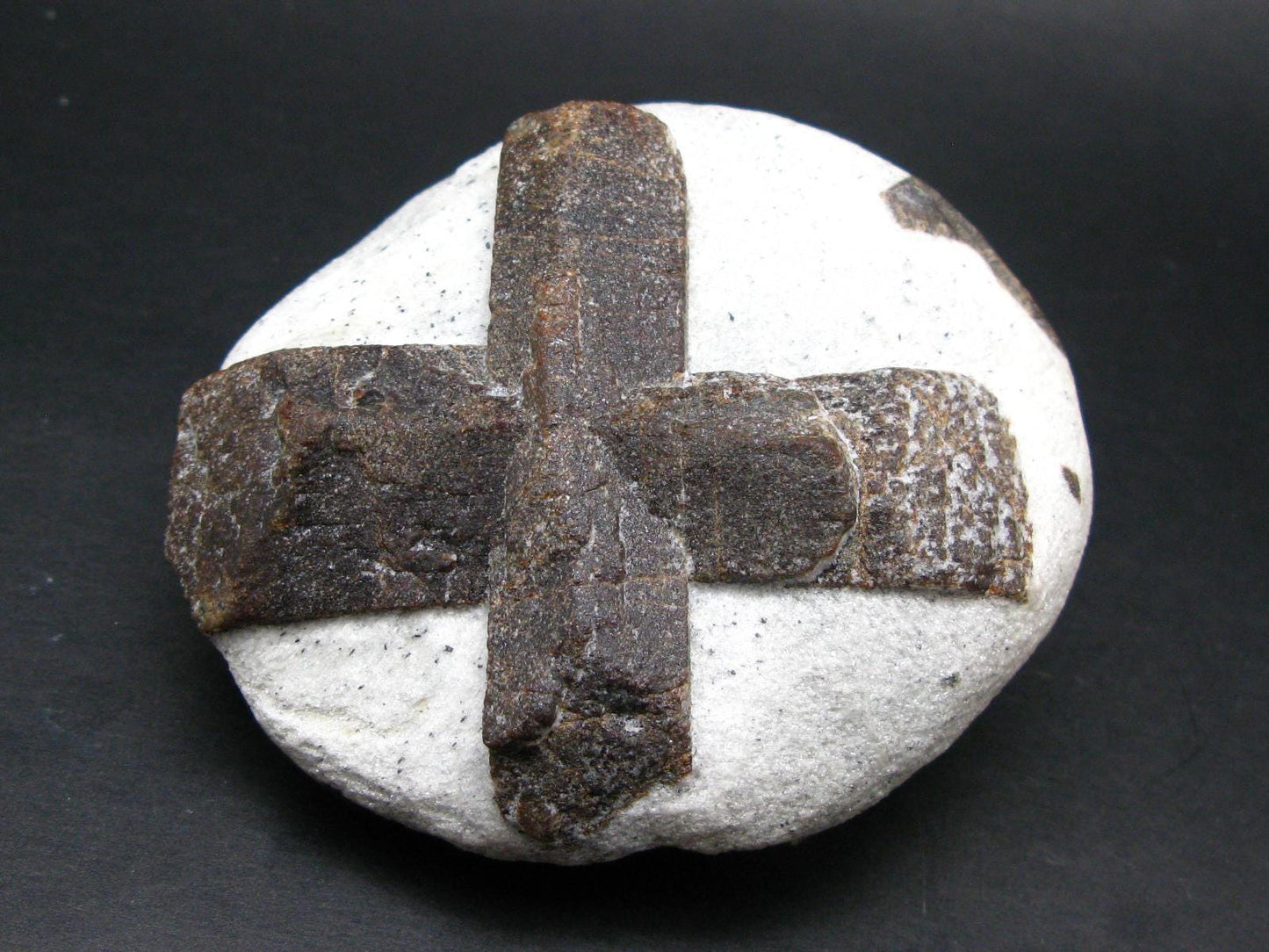 A Perfect Staurolite Crystal on Matrix from Russia - 3.6" - 431 Grams