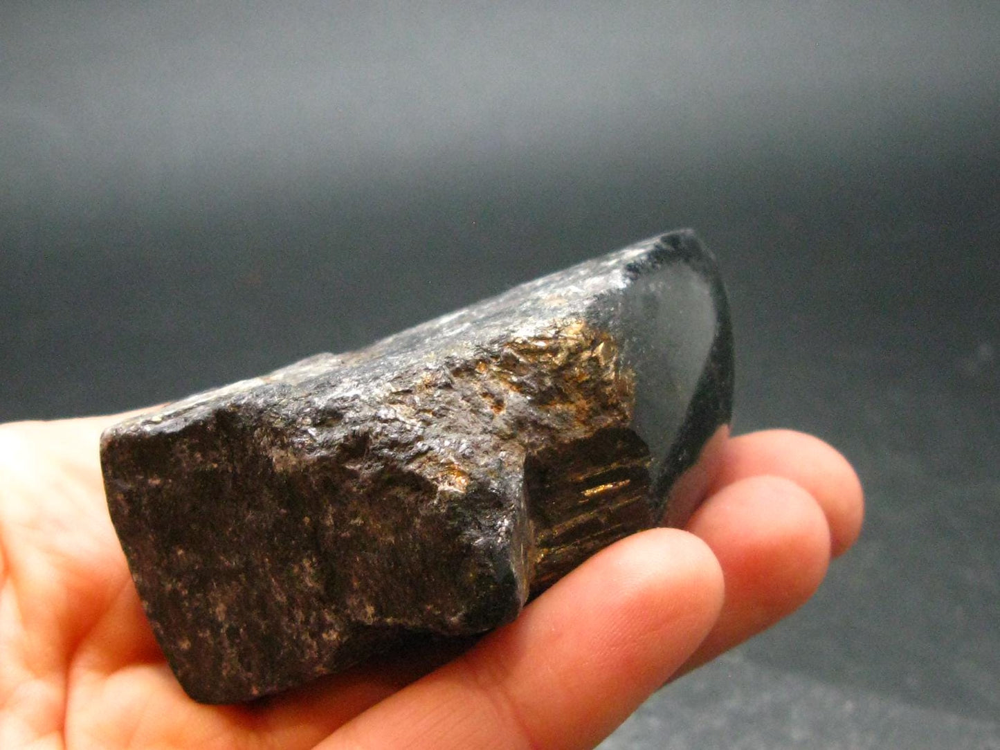 Fine Black Tourmaline Schorl Crystal From Brazil - 2.5"