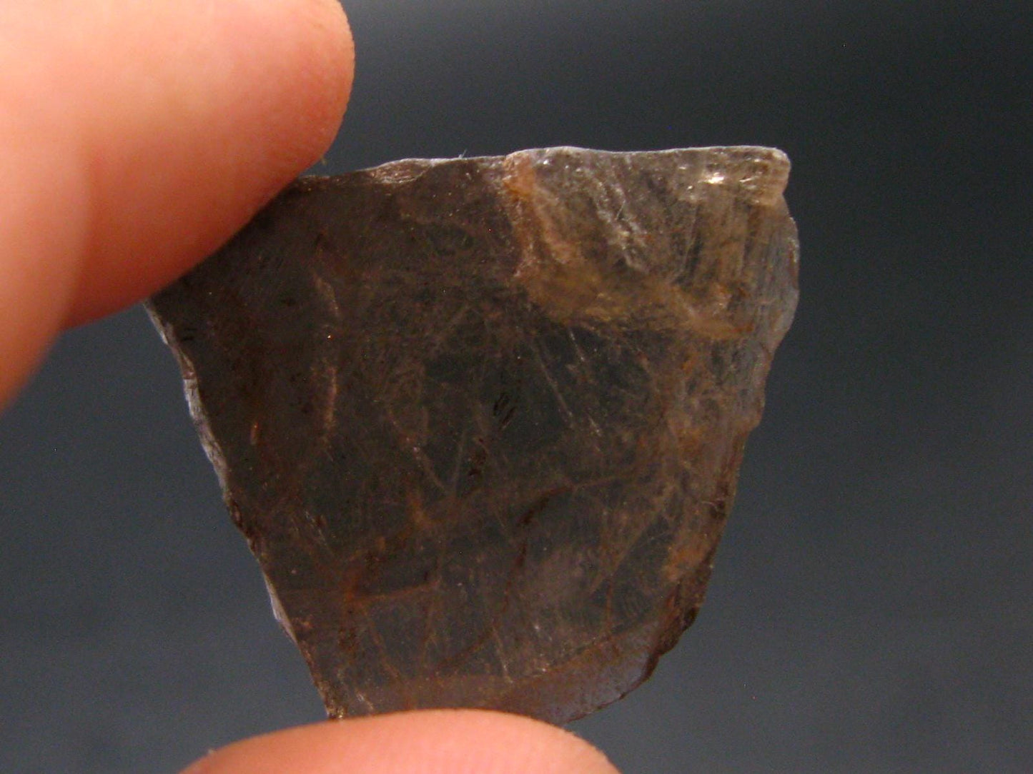 Fine Axinite Crystal from Russia - 0.9" - 2.23 Grams