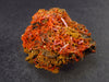 Rare Orange Crocoite Cluster From Australia - 1.9"- 45.0 Grams