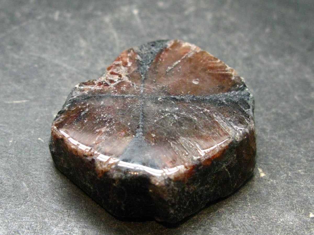 Andalusite Chiastolite Crystal From China - 1.3" - 25.43 Grams