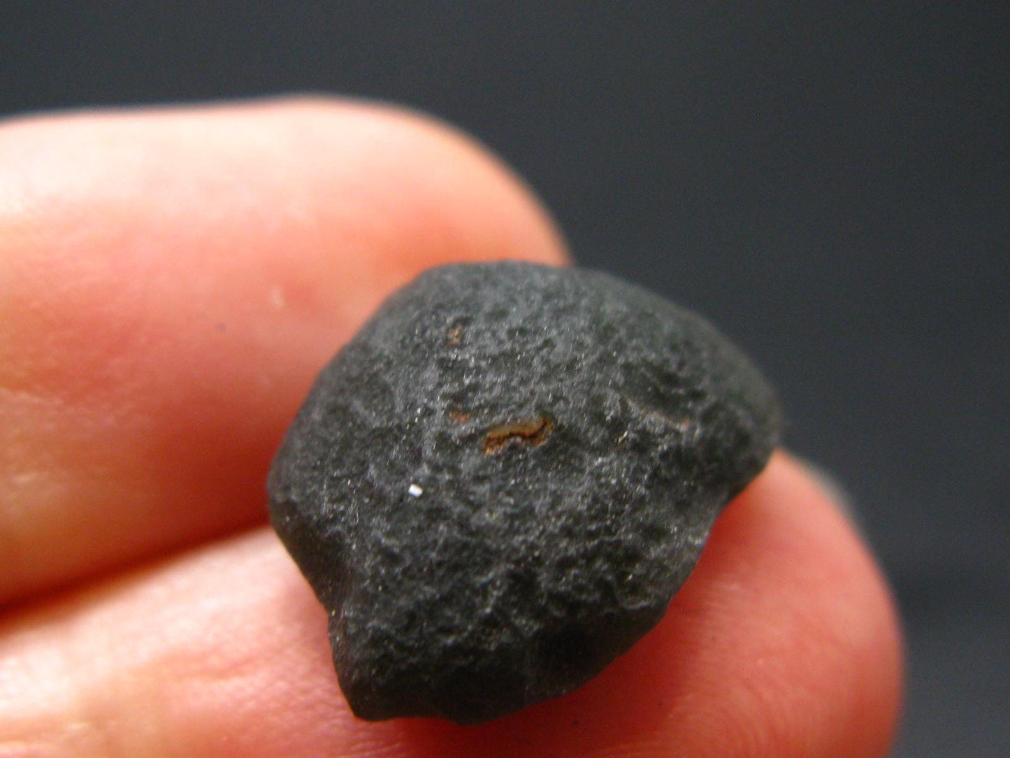 Rare Saffordite Cintamani Stone Pseudotektite Piece from Arizona USA - 7.90 Carats - 0.6"