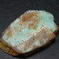 Genuine Tumbled Turquoise from Arizona, USA - 1.6" - 4.46 Grams