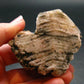 Phenakite Phenacite Crystal From Brazil - 2.5" - 126.64 Grams