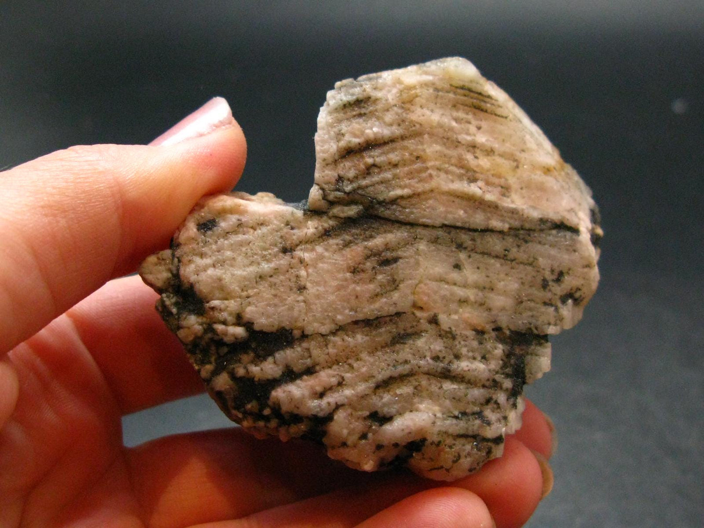 Phenakite Phenacite Crystal From Brazil - 2.5" - 126.64 Grams