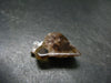 Cacoxenite Super 7 Silver Pendant From Brazil - 1.1" - 3.45 Grams