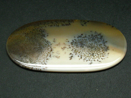 Dandelions!! Rare Scenery Moss Agate Cabochon from Kazakhstan