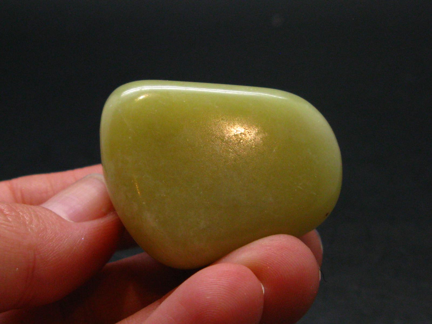 Healerite Serpentine Tumbled Piece From USA - 1.5"