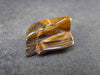 Rare Genesis Jasper Tumbled Stone From USA - 0.7" - 3.69 Grams