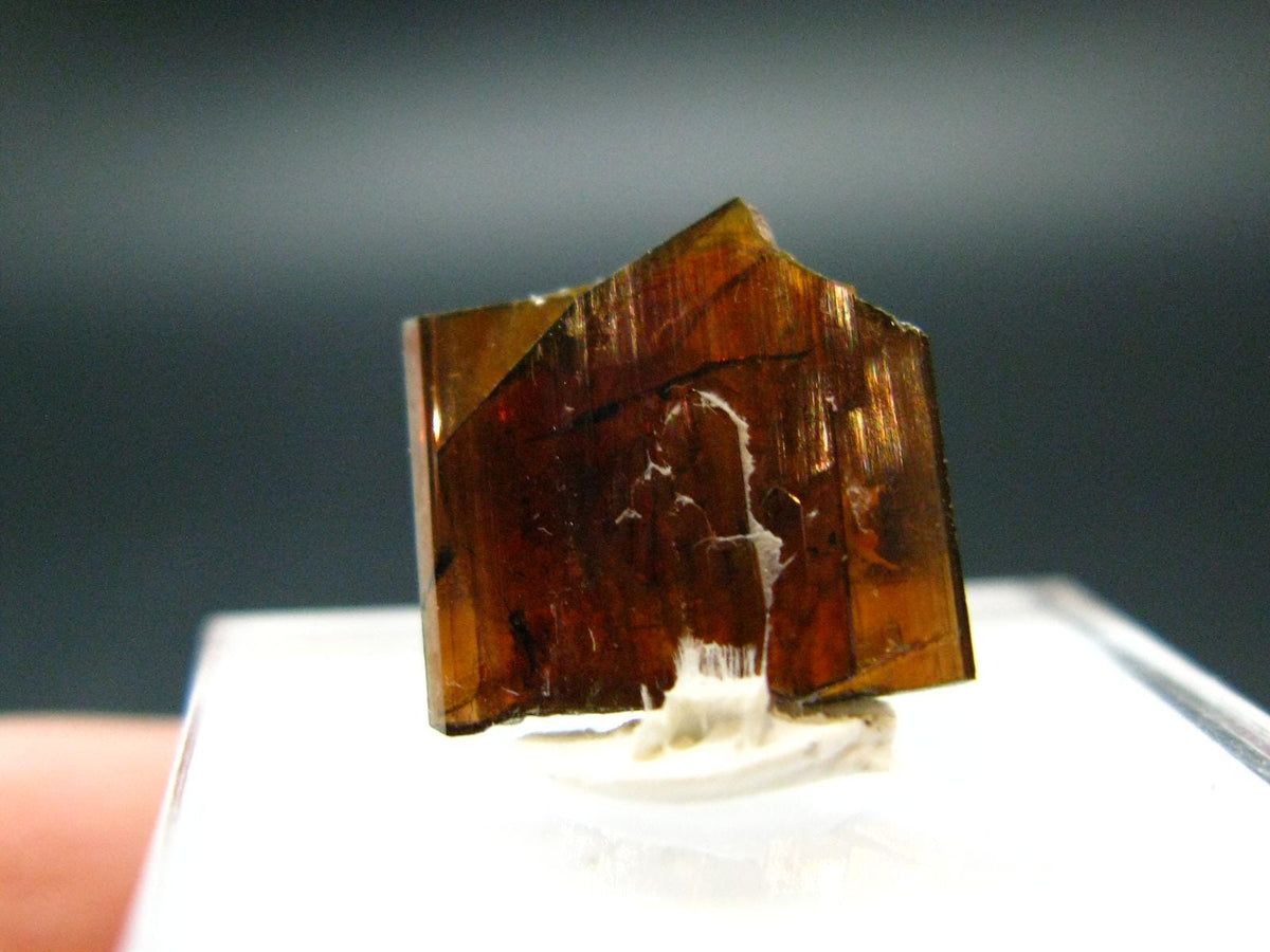 Large Brookite Crystal From Pakistan - 0.43 Grams - 11 mm