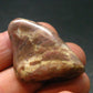 Rare Bustamite Tumbled Stone from South Africa - 1.4" - 14.46 Grams