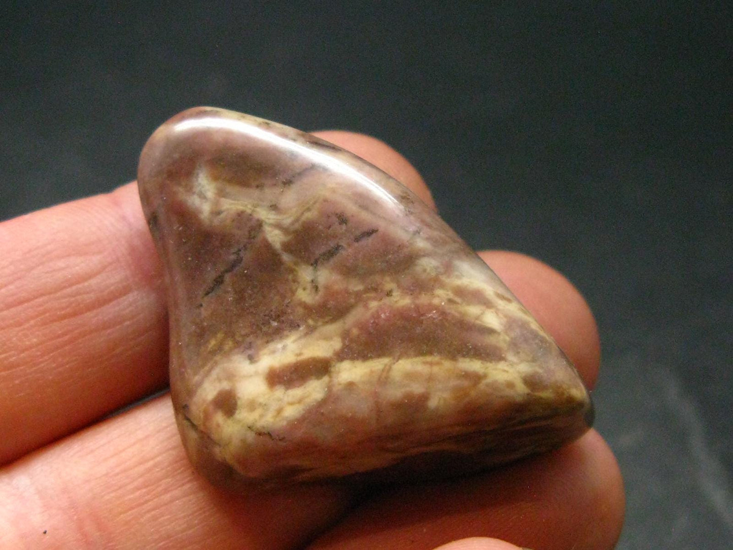 Rare Bustamite Tumbled Stone from South Africa - 1.4" - 14.46 Grams