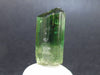 Green Tourmaline Crystal From Brazil - 0.8" - 17.6 Carats
