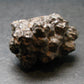 Very rare Z-Stone (Limonite after Marcasite) from Sahara Dessert, Egypt - 1.2" - 23.0 Grams