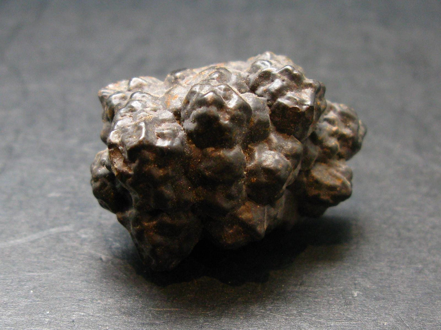 Very rare Z-Stone (Limonite after Marcasite) from Sahara Dessert, Egypt - 1.2" - 23.0 Grams