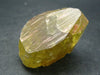 Large Gem Golden Apatite Crystal From Mexico - 1.8"