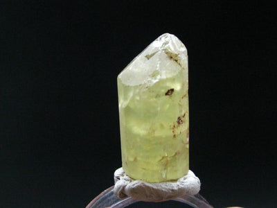 Large Gem Golden Apatite Crystal From Mexico - 0.8" - 8.09 Grams