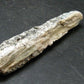 Green Kyanite Crystal From Brazil - 3.2" - 24.71 Grams