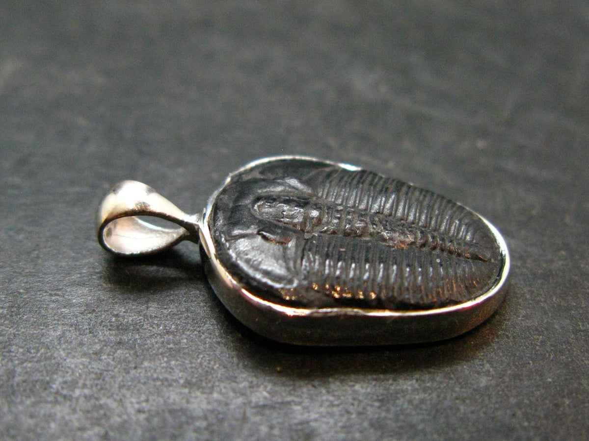Trilobite Silver Pendant from USA - 1.0" - 1.77 Grams