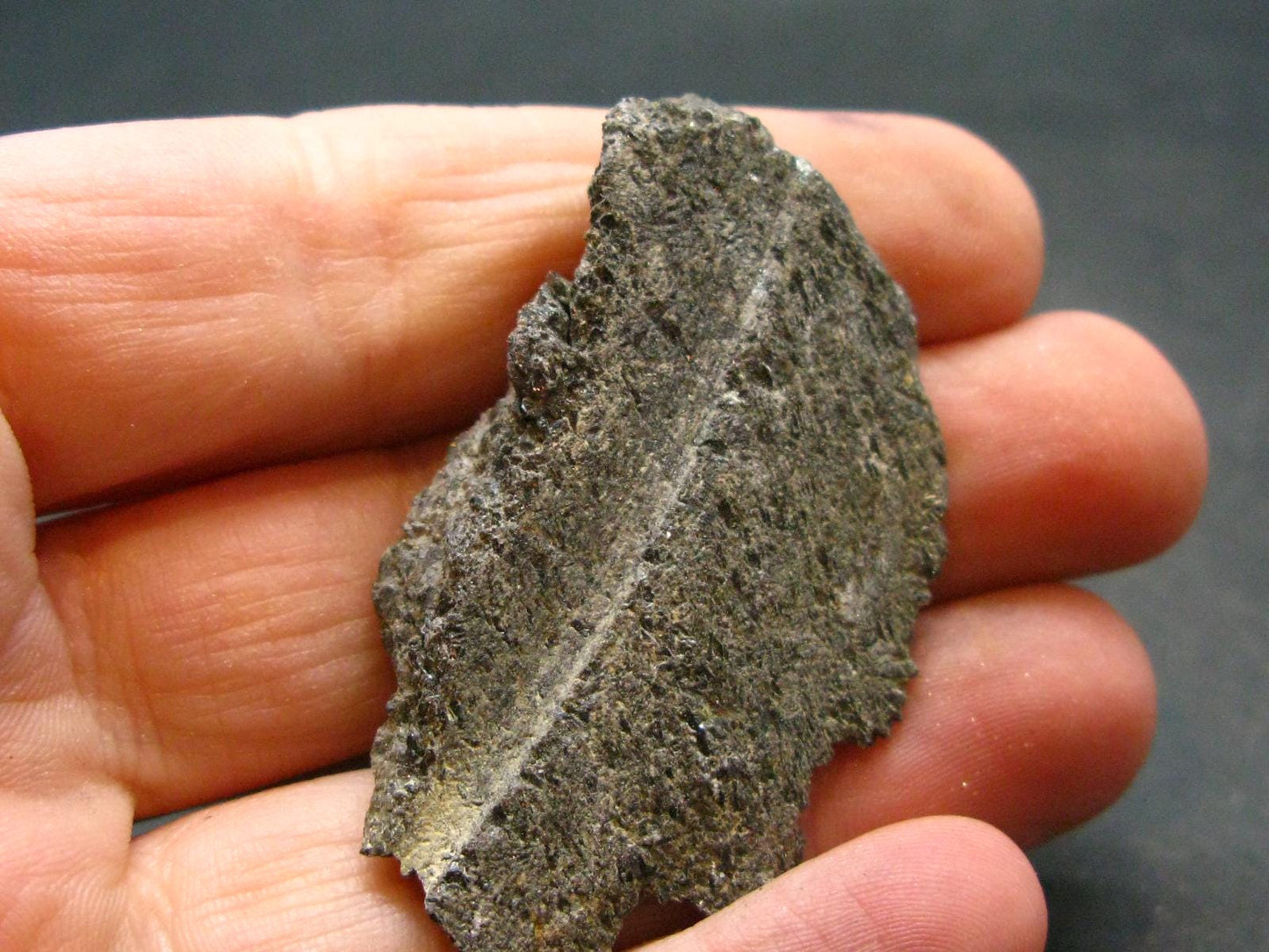 Rare Nuumite Nuummite Raw Piece From Greenland - 11.66 Grams - 1.7"