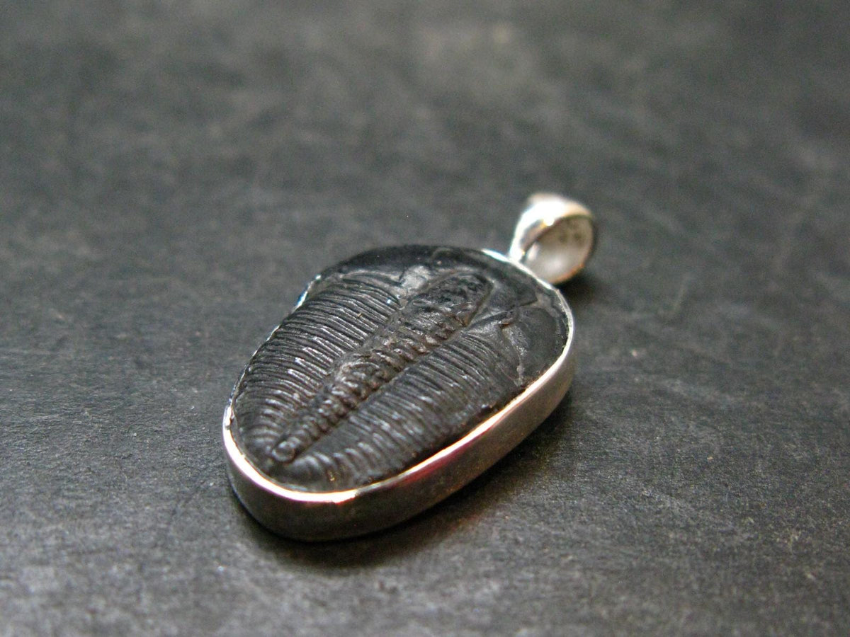 Trilobite Silver Pendant from USA - 1.0" - 1.77 Grams