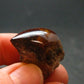 Fire Agate Crystal From Mexico - 0.9" - 7.50 Grams