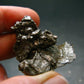 Campo Del Cielo Meteorite from Argentina - 26.30 Grams - 1.5"
